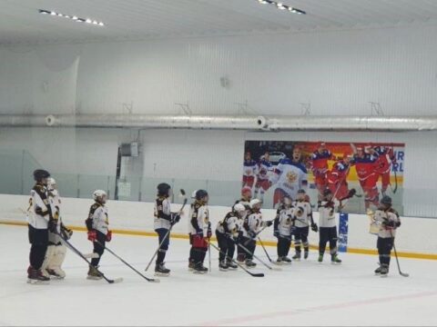 Юные хоккеисты из Можайска победили в турнире «Праздник Весны и Труда» с разгромным счетом новости Можайска 