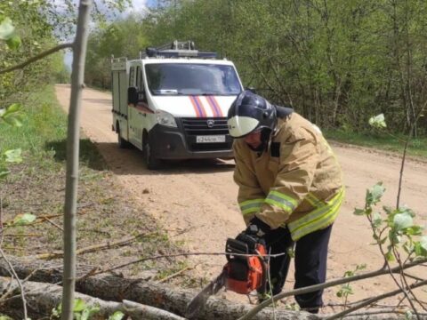 Спасатели убрали с дороги дерево, которое преградило проезд жителям деревни Кузяево новости Можайска 